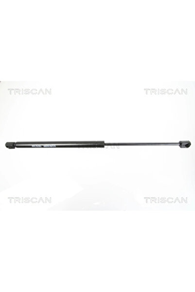 TRISCAN Amortizor Luneta Ford Kuga 1