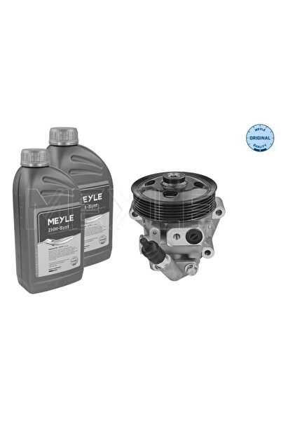 MEYLE Pompa Hidraulica Sistem De Directie Ford Galaxy 2/Mondeo 4/S-Max