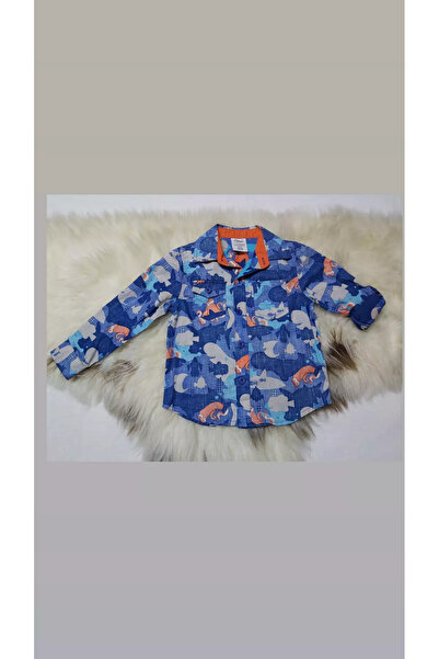 Disney Balık Nemo Gömlek