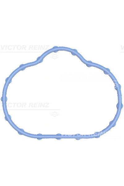 VICTOR REINZ Garnitura Galerie Admisie Jaguar 10-Type 1 2002-2009