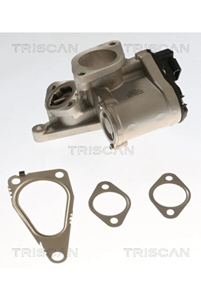 TRISCAN Supapa Egr Renault Laguna 2/Megane 2/Scenic 2