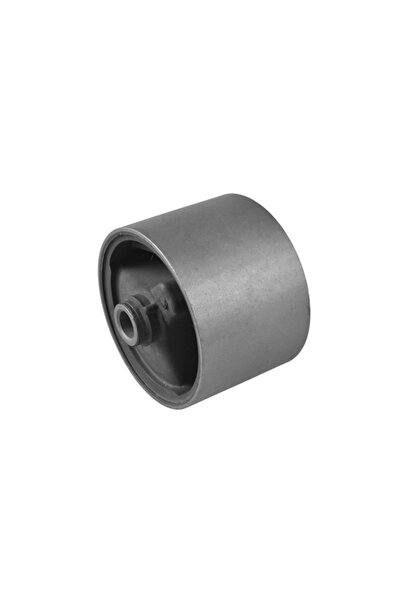 TEDGUM Suport Motor Fata Dreapta Volvo S40 1/V40 1995-2004