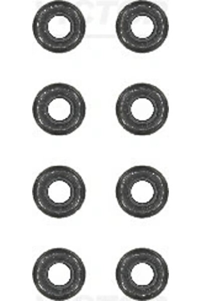VICTOR REINZ Set Garnituri Ax Supape Audi A1/A3 Bmw 3 1992-2022