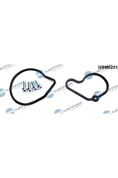 DR.MOTOR AUTOMOTIVE Set Reparatie Pompa Vacuum (Siste Frana) Audi A3 Seat Cor...