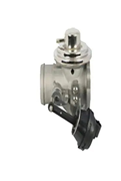 ASSO Supapa Egr Audi A4 B5/A4 B6/A6 C5 Ford Galaxy 1