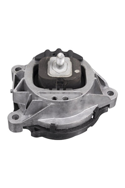 SWAG Suport Motor Stanga Bmw X3/X4