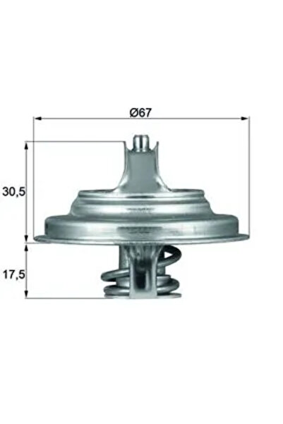 MAHLE Termostat Lichid Racire Mercedes-Benz Atego/Axor 2/Unimog