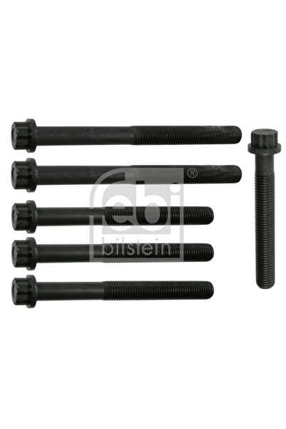FEBI BILSTEIN Set Surub Chiulasa Mercedes-Benz Model/Ng/O 400 1964-2006