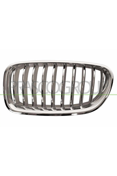 PRASCO Grila Radiator Stanga Bmw 5