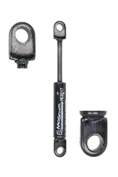 MAGNUM TECHNOLOGY Amortizor Deflector Aer Pe Ambele Parti Mercedes-Benz Actro...