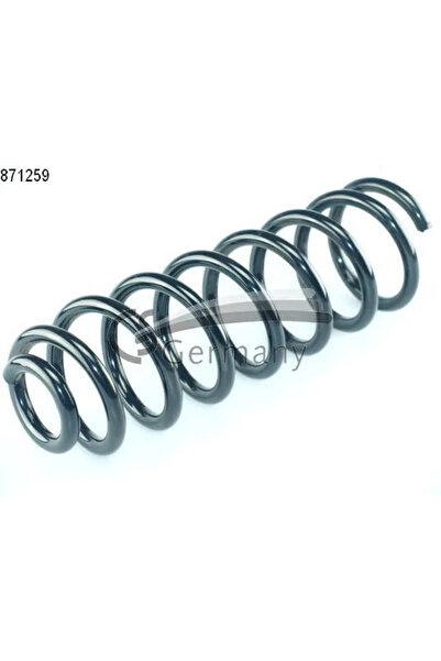 CS GERMANY Arc Spiral Puntea Spate Renault Scenic 2