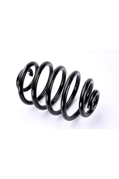 MAGNUM TECHNOLOGY Arc Spiral Puntea Spate Renault Clio 2/Clio Symbol 1/Symbol...