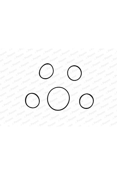 PAYEN Комплект уплътнения на всмукателния колектор Fiat Albea/Brava/Bravo 1 L...