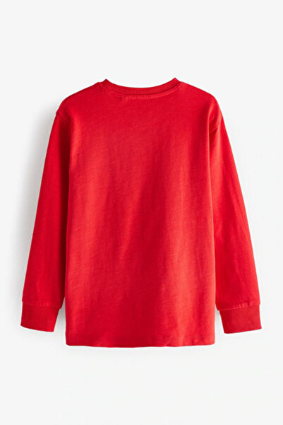 Colorinas Basic Crew Neck Long Sleeve Cuffed Tshirt