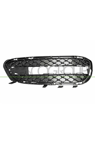 PRASCO Grila Ventilatie Bara Protectie Fata Dreapta Mercedes-Benz E-Class