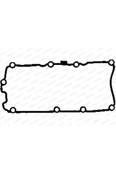PAYEN Garnitura Capac Supape Dreapta Audi A4 B7/A4 B8/A5 Porsche Cayenne 2003...