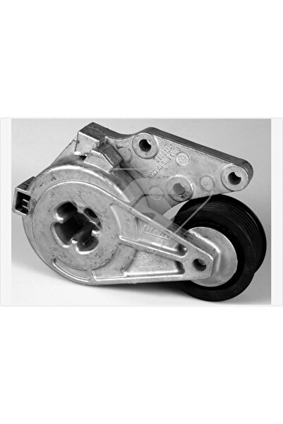 Hutchinson Rola Intinzator Curea Transmisie Ford Galaxy 1 Vw Golf 3/Passat B3...
