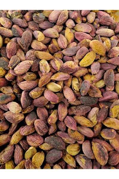 bagisan Antep fıstığı kurusu çiğ AĞAÇALTI doğal kırmızı kabuklu = 500 gr