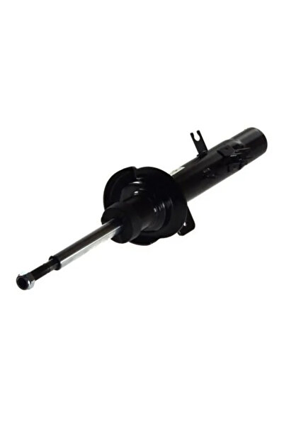 MAGNUM TECHNOLOGY Amortizor Axa Fata Dreapta Citroen C2/C3 1/C3 Pluriel Peuge...