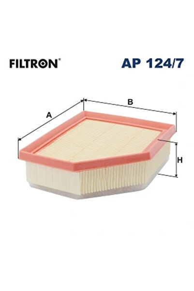 Filtron Filtru Aer Nissan Qashqai 3 Renault Austral
