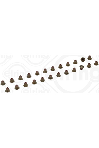 ELRING Set Garnituri Ax Supape Bmw 3/4 Cupe/5