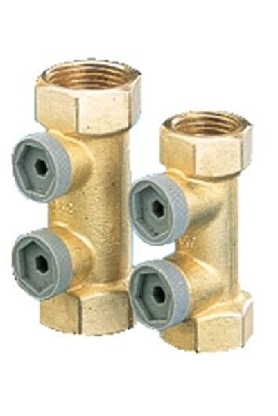 Other Supapă de sens antipoluare, cu filet interior, tip EA291NF, 1 inch