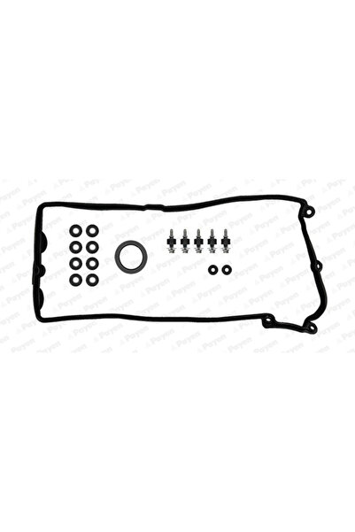 PAYEN Set Garnituri Capac Supape Pentru Cilindrii 1-4 Alpina B5/B6/B7 Bmw 5/6/7