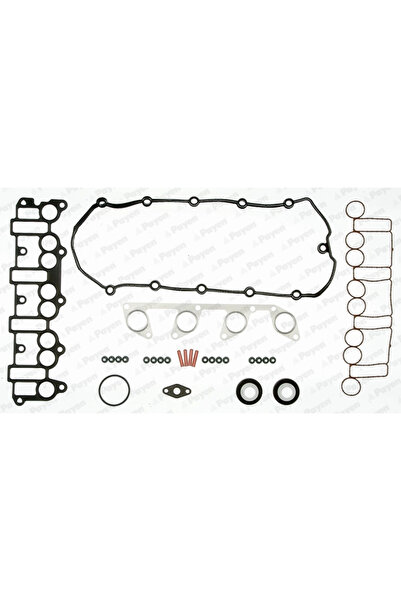 PAYEN Set Garnituri Chiulasa Audi A3/A4 B7/A6 C6 Jeep Compass