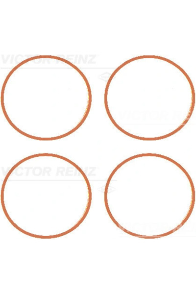 VICTOR REINZ Set Garnituri Galerie Admisie Buick La Crosse Limuzina/Regal