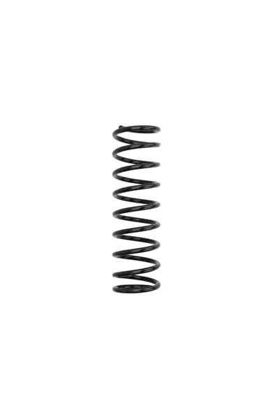 MAGNUM TECHNOLOGY Arc Spiral Puntea Spate Ford Fiesta 4/Fiesta 5/Fiesta Caset...