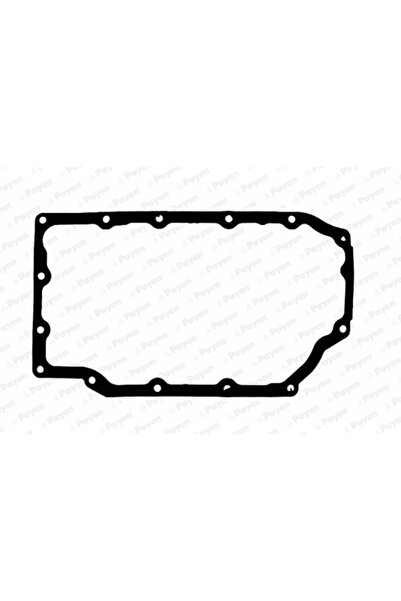 PAYEN Garnitura Baie Ulei Caterham Seven Mg Mg Tf/Mg Zr/Mg Zs