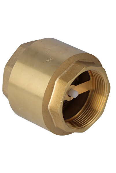 Other TIGER spring check valve, brass, 2 inches