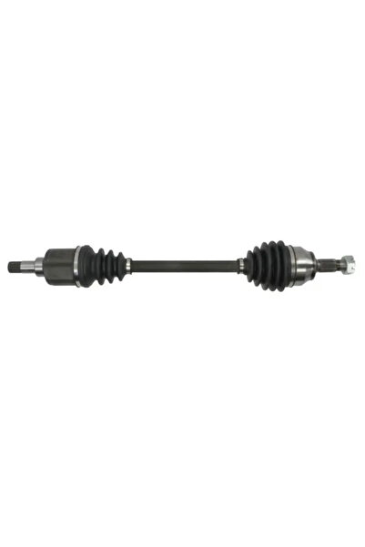 Pascal Planetara Axa Fata Stanga Peugeot 207