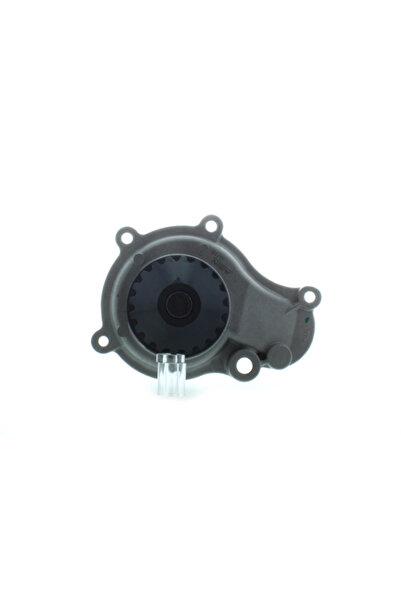 AISIN Pompa De Apa Racire Motor Chrysler Caravan/Pt Cruiser/Sebring Jeep Cher...