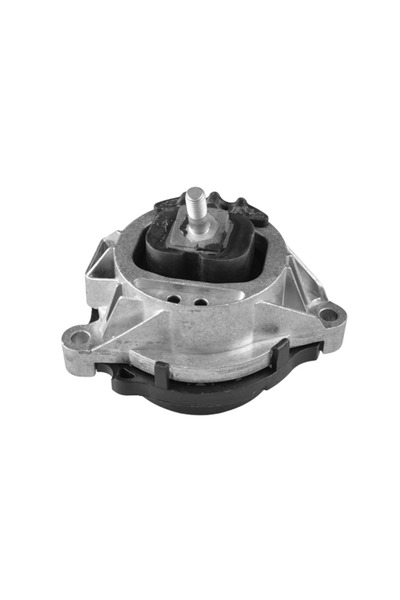 TEDGUM Suport Motor Stanga Bmw X3/X4