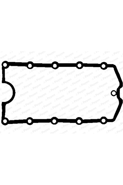 PAYEN Garnitura Capac Supape Audi A4 B7/A6 C6 2004-2011