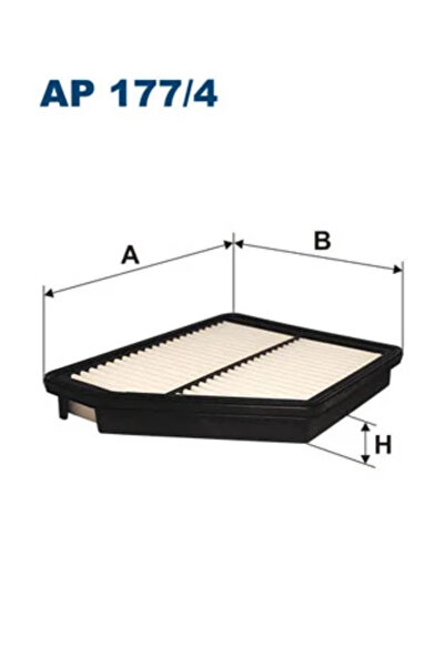 Filtron Filtru Aer Hyundai Matrix