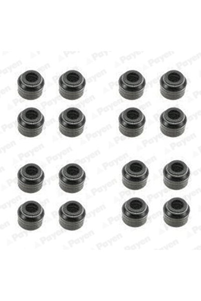 PAYEN Set Garnituri Ax Supape Fiat 500/Palio/Panda Jac Yueyue