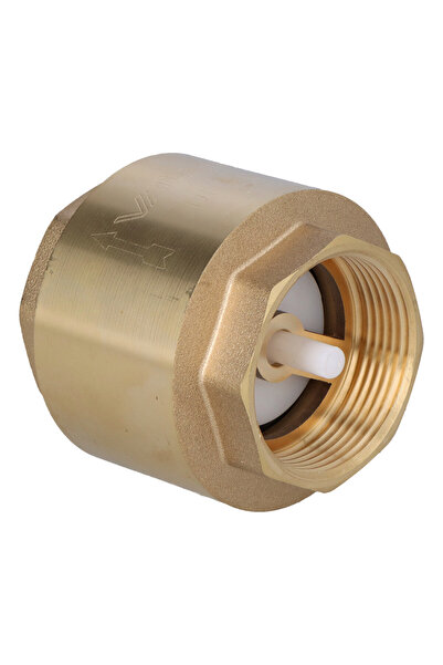 Other TIGER spring check valve brass 1 12 inch