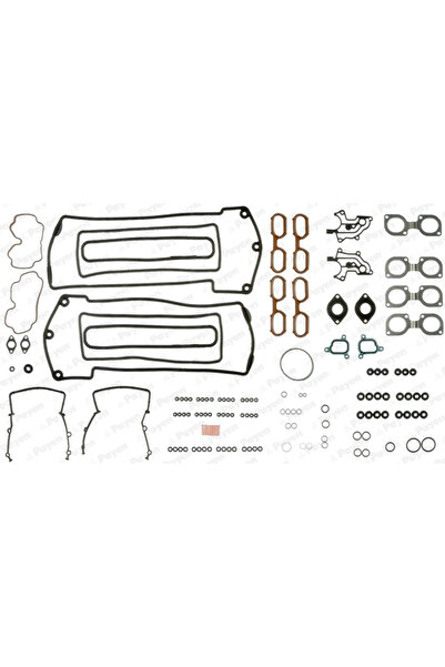 PAYEN Set Garnituri Chiulasa Bmw 5/7/8