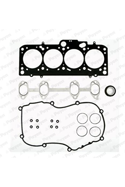 PAYEN Set Garnituri Chiulasa Audi A3 Seat Altea/Leon/Toledo 3