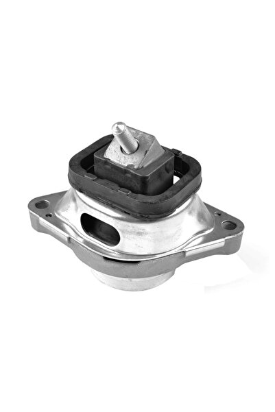 TEDGUM Suport Motor Fata Stanga Land Rover Range Rover 3