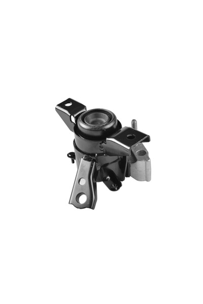 TEDGUM Suport Motor Dreapta Toyota Rav 4 3