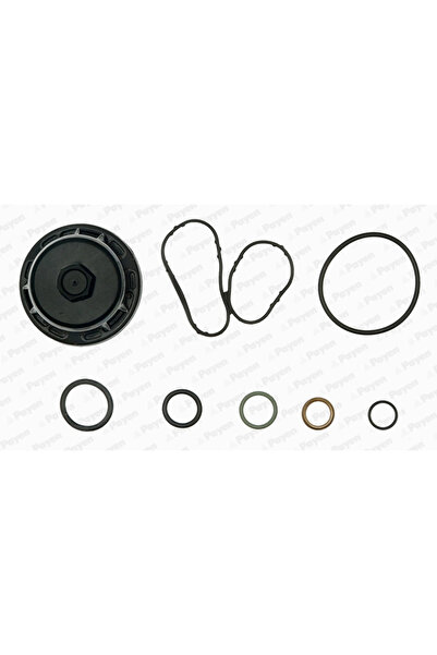 PAYEN Set Garnituri Carter Nissan 10-Trail 2/Qashqai 1 Renault Espace 4/Koleo...