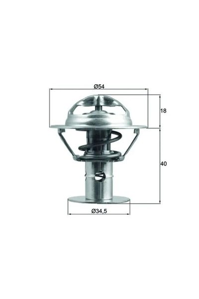 MAHLE Termostat Lichid Racire Ford Cougar/Maverick/Mondeo 1 Ford Usa Taurus
