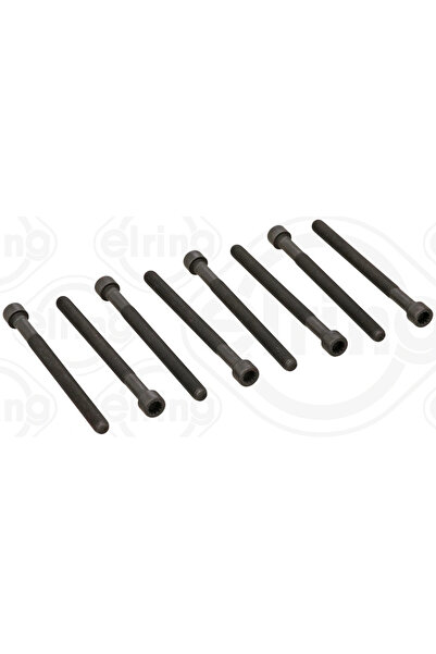 ELRING Set Surub Chiulasa Audi A4 B5/A4 B6/A6 C5 Skoda Superb 1