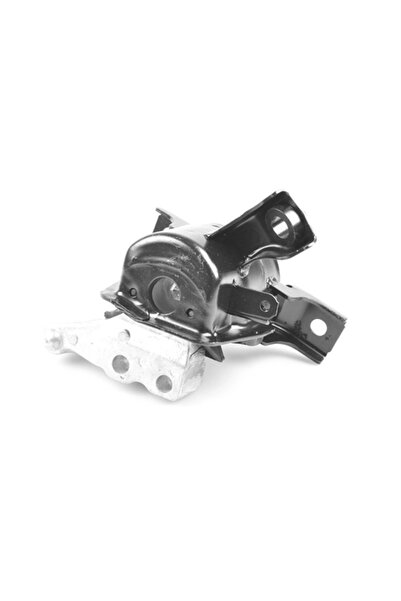 TEDGUM Suport Motor Fata Dreapta Toyota Rav 4 4