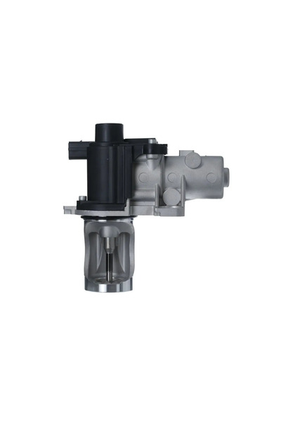 VALEO Supapa Egr Audi A4 B6/A4 B7 Skoda Superb 1