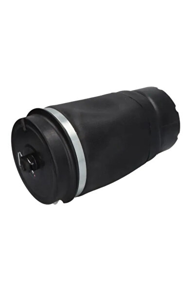 MAGNUM TECHNOLOGY Direcție pneumatică cu arc Spate Land Rover Range Rover 3