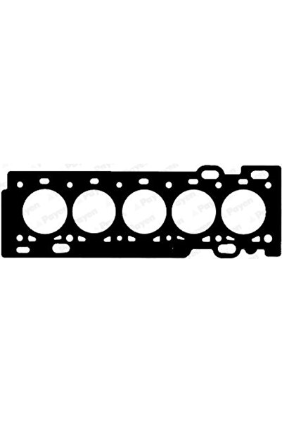 PAYEN Garnitura Chiulasa Ford Focus 2/Kuga 1/Mondeo 4 Ford Australia Focus/Ku...